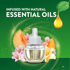 Air Wick Plug-In Scented Oil Air Freshener Warmer Refills, Summer Delights, 4 Count
