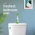Febreze Air Effects Air Freshener Spray – Gain Original + Heavy Duty (4 Count, 35.2 oz)-2pk, With Paper Towel By OMA