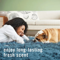 Febreze Odor-Fighting Fabric Refresher, Pet Odor Fight