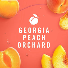 Febreze Plug Dual Refill Air Freshener Georgia Peach Orchard 2ct