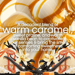 Air Wick Vibrant Plug-In Scented Oil Air Freshener Warmer Refills, Cozy Vanilla and Caramel, 2 Count