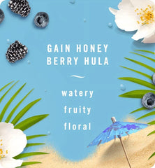 Febreze FABRIC Gain Honey Berry Hula500 mL, (1,05 US PT/CHOP.E-U) 16.9 FL Oz LIQ.