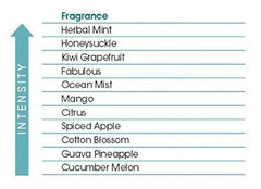 Fresh Products Easy Fresh 2.0 Room Air Freshener Cover Refill - Herbal Mint