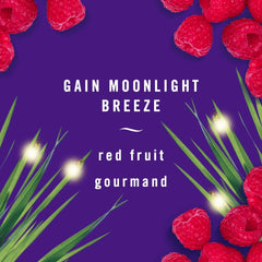 Febreze Fabric and Air Refresher Gain Scent, Moonlight Breeze, 27 fl oz