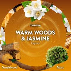 Air Wick Plug-in Scented Oil Air Freshener Warmer Refills, Warm Woods and Jasmine, 4 Count